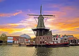 FB体育-荷兰摧枯拉朽，德国垂头丧气