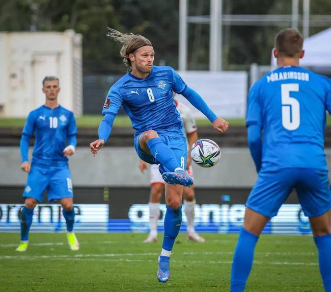 FB体育平台-土耳其队意图全取三分,对阵冰岛队